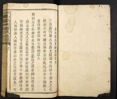 江西罗氏族谱-匡山南冈罗氏族谱.pdf电子版预览图1