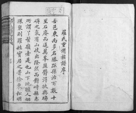 江西罗氏族谱-吉丰丫髻岭罗氏房谱.pdf电子版预览图1