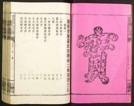 江西罗氏族谱-浏阳罗氏宗谱.pdf电子版预览图5