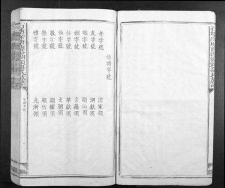 江西罗氏族谱-石塘深塘西港湖头罗氏族谱.pdf电子版预览图4