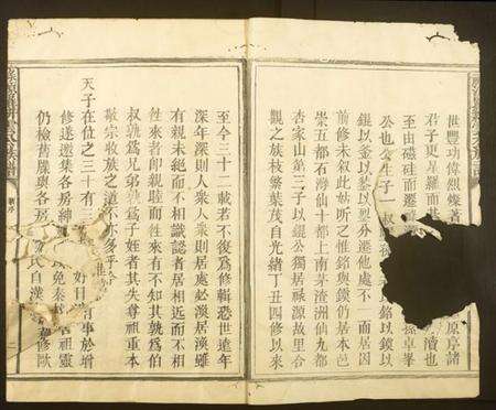 江西罗氏族谱-禄源罗耕云公族谱.pdf电子版预览图1