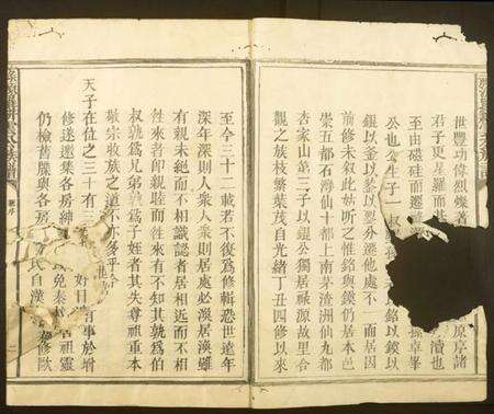 江西罗氏族谱-禄源罗耕云公族谱.pdf电子版预览图2