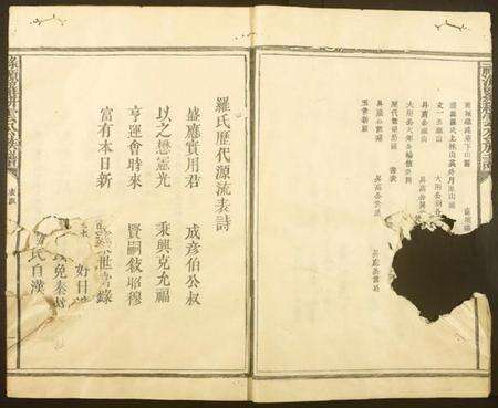 江西罗氏族谱-禄源罗耕云公族谱.pdf电子版预览图5