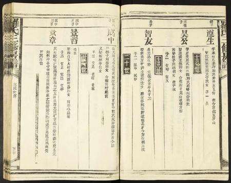 江西罗氏族谱-罗氏三修房谱.pdf电子版预览图5