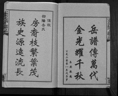 湖南岳氏族谱-中华岳氏统谱邵阳分谱[28卷].pdf电子版预览图2