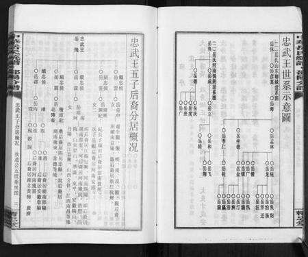 湖南岳氏族谱-中华岳氏统谱邵阳分谱[28卷].pdf电子版预览图5