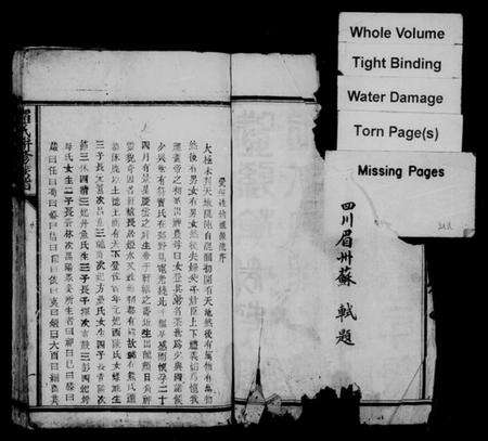 江西罗氏族谱-罗氏联修族谱.pdf电子版预览图2