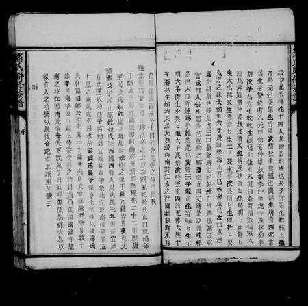 江西罗氏族谱-罗氏联修族谱.pdf电子版预览图3