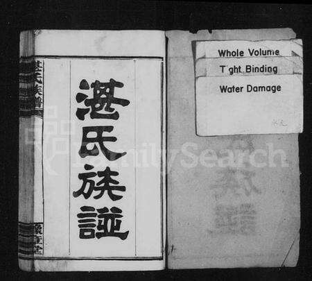 湖南湛氏族谱-湛氏族谱 [28卷,首6卷].pdf电子版预览图2