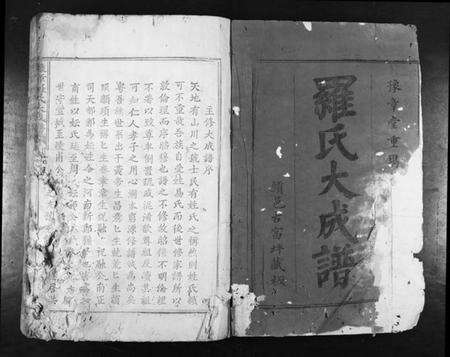 江西罗氏族谱-豫章罗氏大成谱[24卷].pdf电子版预览图1