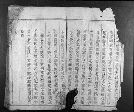 江西罗氏族谱-豫章罗氏宗谱 [4卷].pdf电子版预览图2