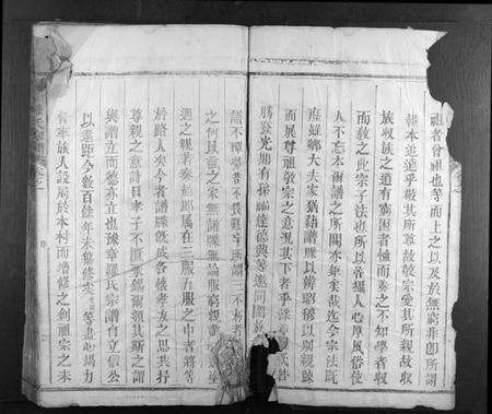 江西罗氏族谱-豫章罗氏宗谱 [4卷].pdf电子版预览图4