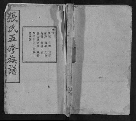 湖南张氏族谱-上湘夏紫桥张氏五修族谱[18卷].pdf电子版缩略图