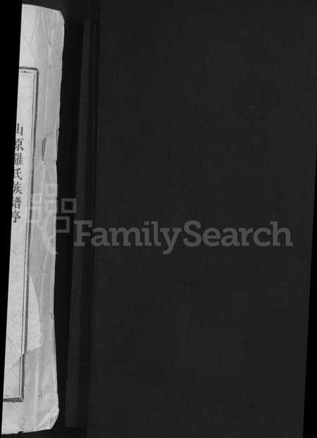 江西罗氏族谱-锣洲罗氏重修族谱 [不分卷].pdf电子版预览图2