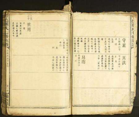 江西罗氏族谱-雩邑罗氏七修族谱.pdf电子版预览图2