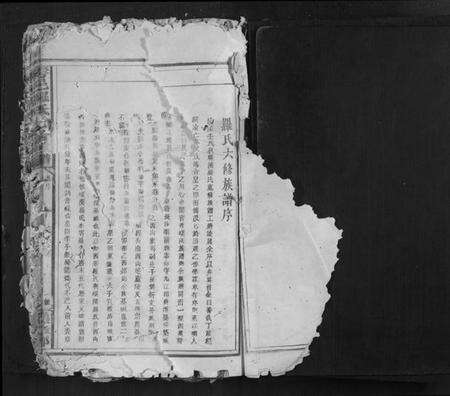 江西罗氏族谱-雩邑罗氏七修族谱[不分卷].pdf电子版预览图1