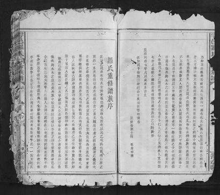 江西罗氏族谱-雩邑罗氏七修族谱[不分卷].pdf电子版预览图3