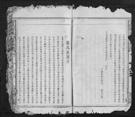 江西罗氏族谱-雩邑罗氏七修族谱[不分卷].pdf电子版预览图4