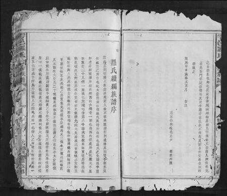 江西罗氏族谱-雩邑罗氏七修族谱[不分卷].pdf电子版预览图5