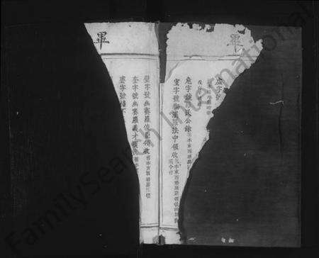 江西罗氏族谱-临清罗氏族谱 [6卷,首1卷].pdf电子版预览图2