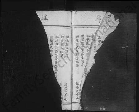 江西罗氏族谱-临清罗氏族谱 [6卷,首1卷].pdf电子版预览图3