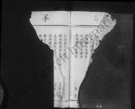 江西罗氏族谱-临清罗氏族谱 [6卷,首1卷].pdf电子版预览图4