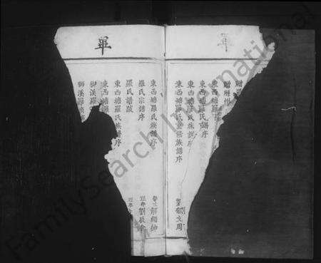 江西罗氏族谱-临清罗氏族谱 [6卷,首1卷].pdf电子版预览图5