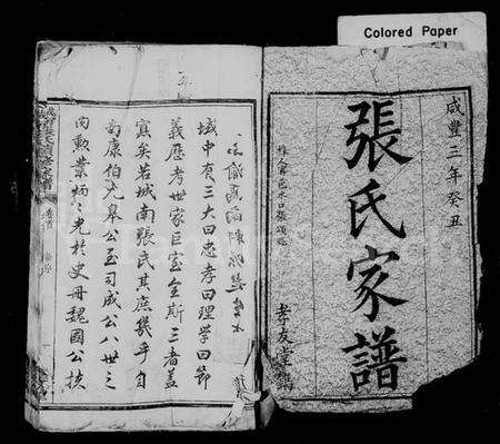 湖南张氏族谱-城南张氏续修家谱 [12卷].pdf电子版预览图1