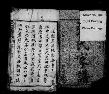 湖南张氏族谱-城南张氏续修家谱 [12卷].pdf电子版预览图2