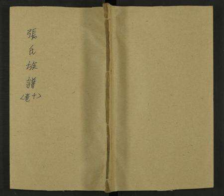 湖南张氏族谱-张氏四修族谱 [36卷].pdf电子版缩略图