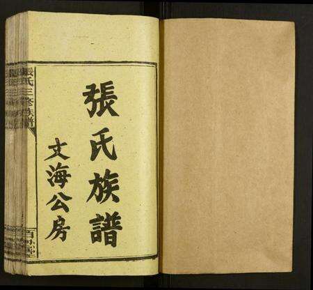 湖南张氏族谱-张氏三修族谱.pdf电子版预览图1