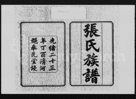 湖南张氏族谱-张氏三修族谱 [10卷].pdf电子版预览图2