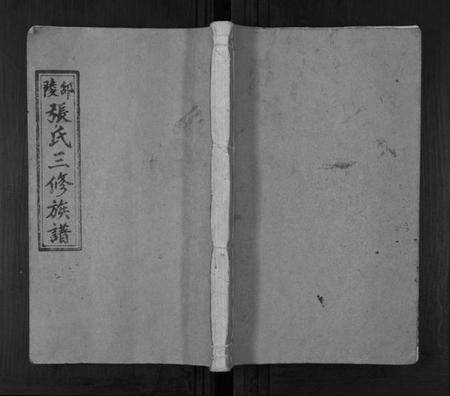 湖南张氏族谱-张氏三修族谱[3卷].pdf电子版缩略图