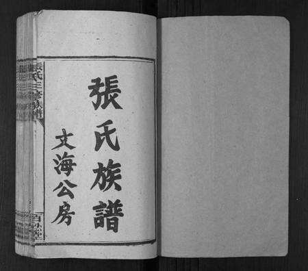 湖南张氏族谱-张氏三修族谱[3卷].pdf电子版预览图1