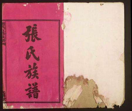 湖南张氏族谱-张氏五修族谱.pdf电子版预览图1