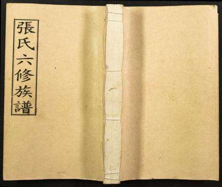 湖南张氏族谱-张氏六修族谱.pdf电子版缩略图