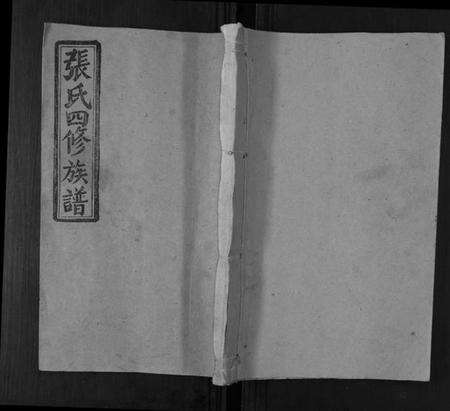 湖南张氏族谱-张氏四修族谱[3卷首1卷].pdf电子版缩略图