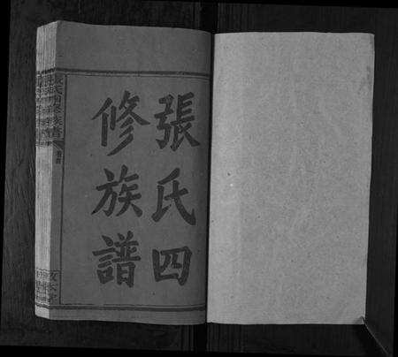 湖南张氏族谱-张氏四修族谱[3卷首1卷].pdf电子版预览图1