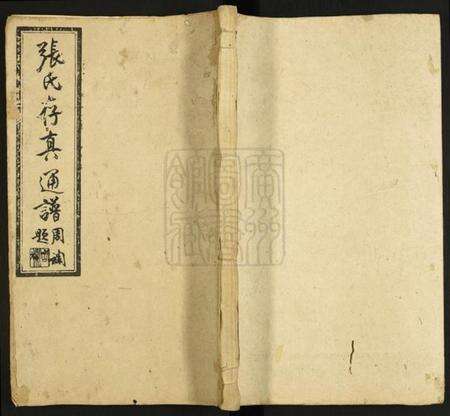 湖南张氏族谱-张氏存真通谱[不分卷].pdf电子版缩略图