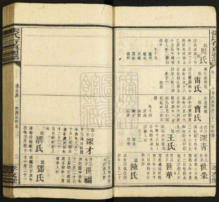 湖南张氏族谱-张氏存真通谱[不分卷].pdf电子版预览图2