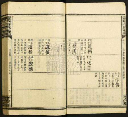 湖南张氏族谱-张氏存真通谱[不分卷].pdf电子版预览图5