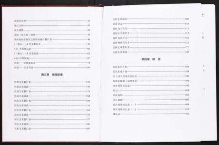 湖南张氏族谱-张氏家乘[不分卷].pdf电子版预览图2