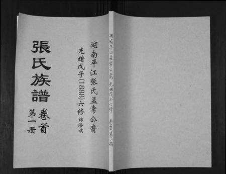 湖南张氏族谱-张氏族谱.pdf电子版缩略图