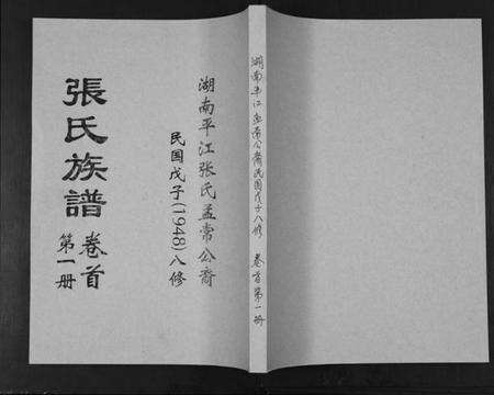 湖南张氏族谱-张氏族谱.pdf电子版缩略图