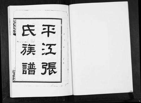 湖南张氏族谱-张氏族谱.pdf电子版预览图2