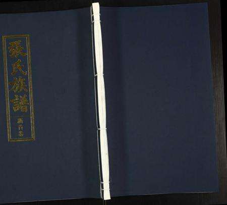 湖南张氏族谱-张氏族谱.pdf电子版缩略图