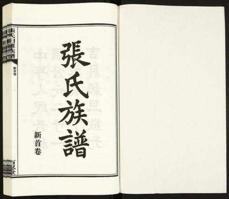 湖南张氏族谱-张氏族谱.pdf电子版预览图1