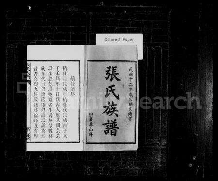 湖南张氏族谱-张氏族谱 [12卷,首末各1卷].pdf电子版预览图2