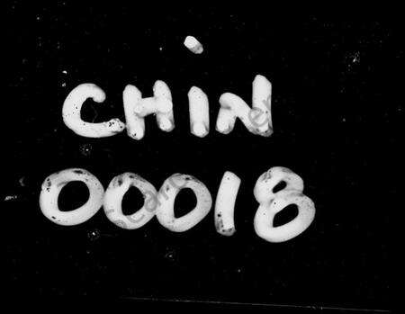 湖南张氏族谱-张氏族谱 [32卷,首3卷].pdf电子版预览图4