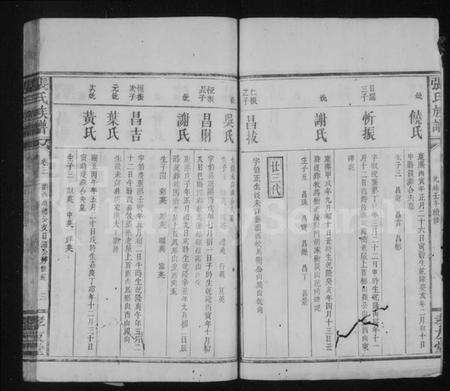 湖南张氏族谱-张氏族谱 [32卷].pdf电子版预览图4